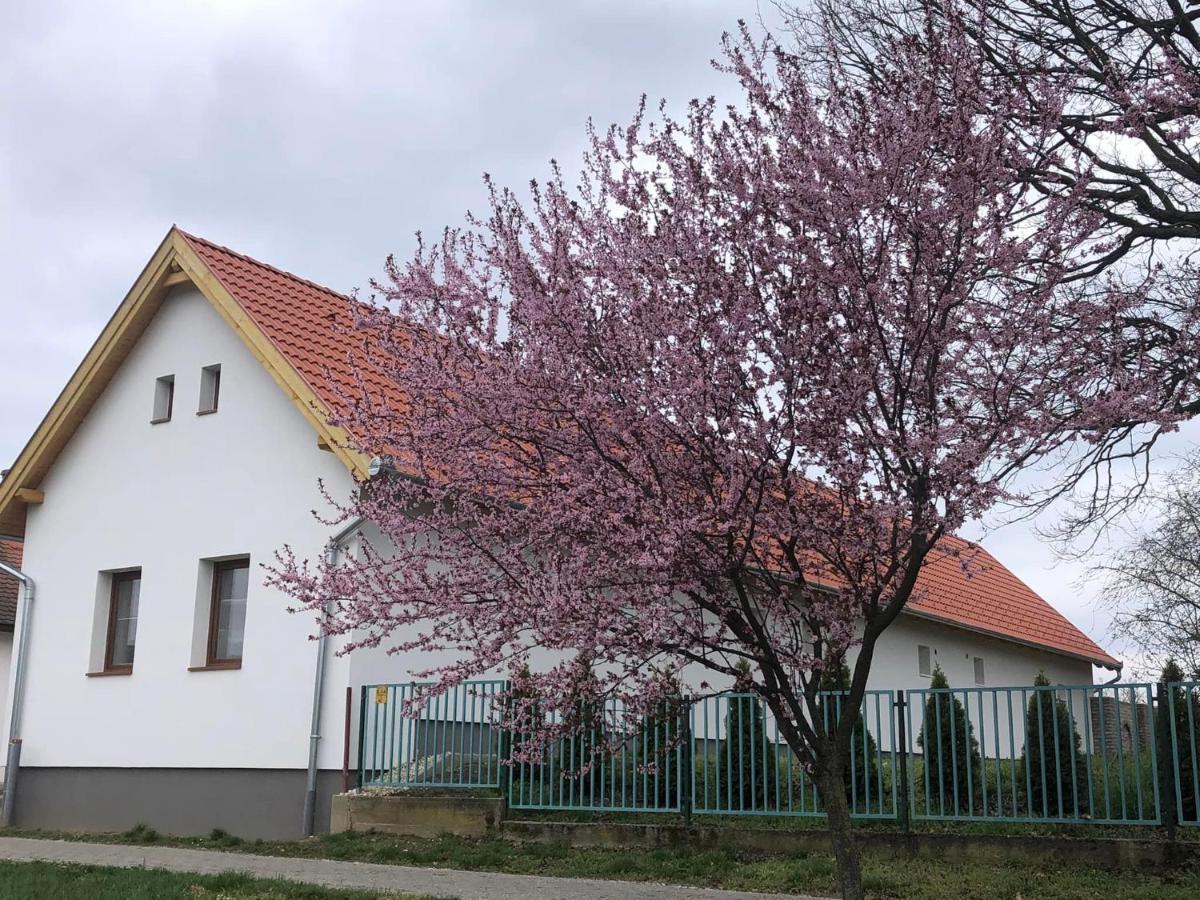 Fazekas Vendeghaz Hotel Balatonkeresztur Exterior photo